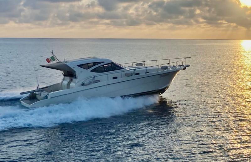 cayman 43