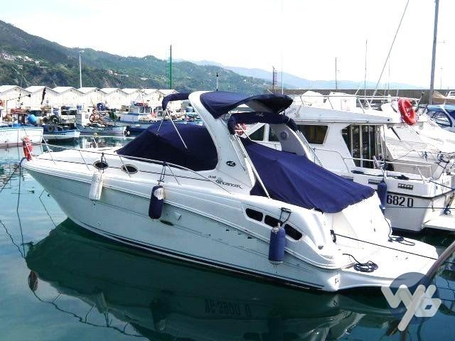 sea ray 335