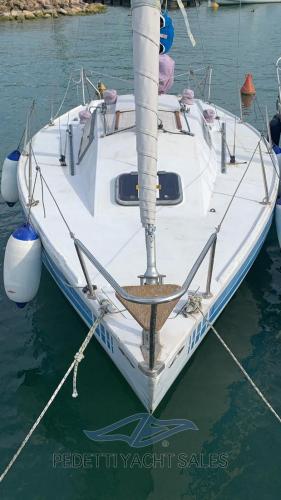 Nautivela menestrello