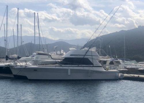 Riviera marine 36