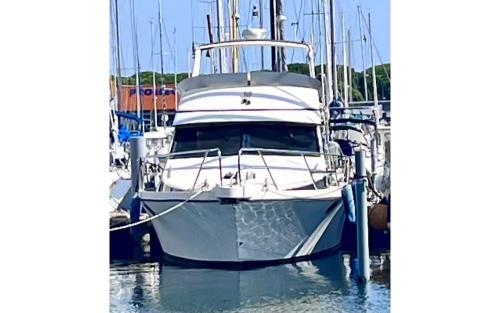 Guy couach guy couach 1050