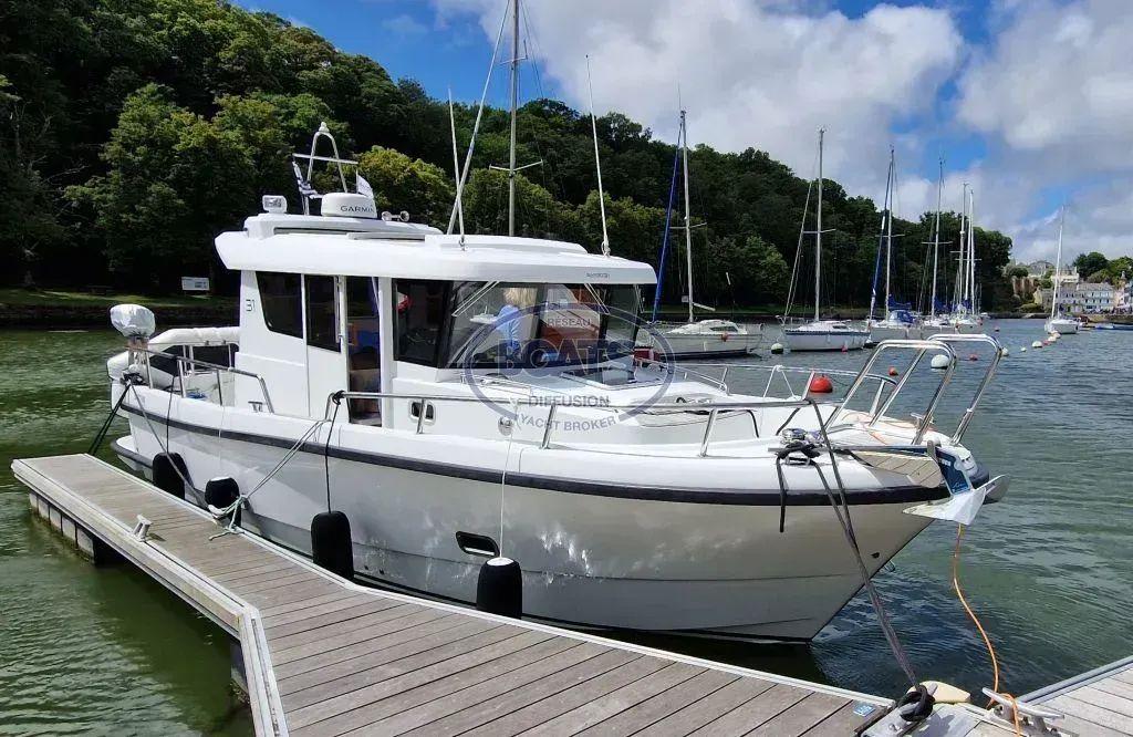 sargo 31