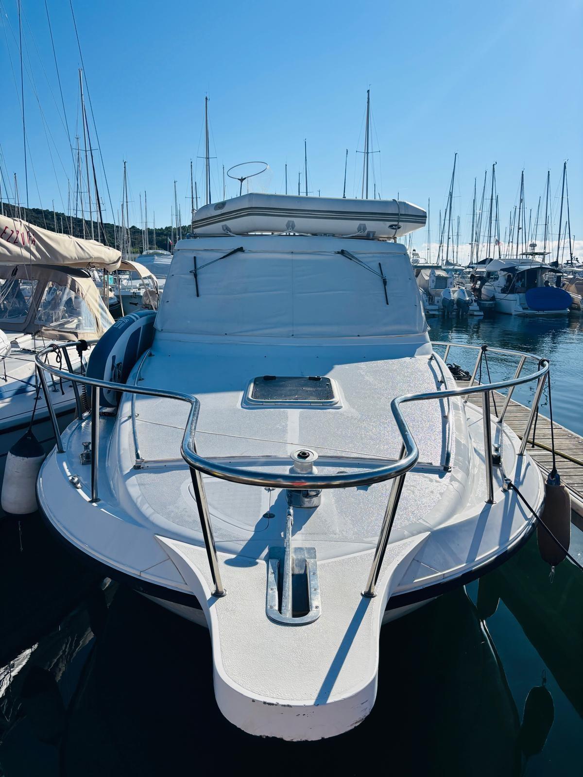 plastik Space 290 cruiser