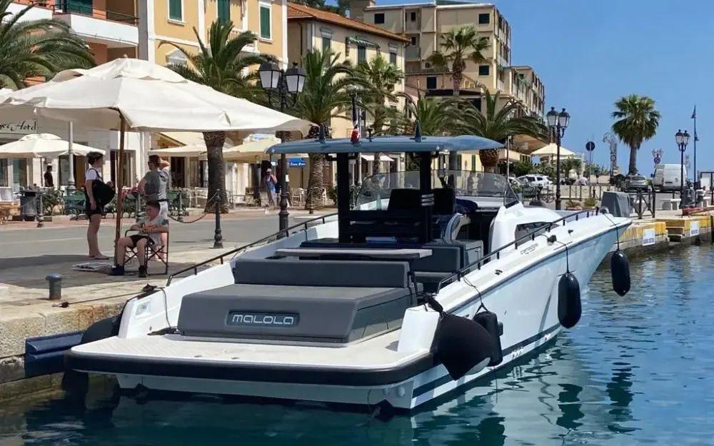 gladiator 431 wa