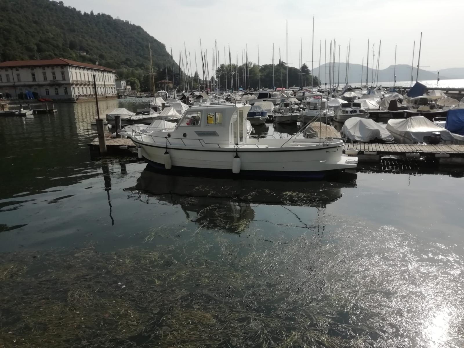 naval tirrena. Gozzo