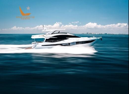 galeon 800 fly