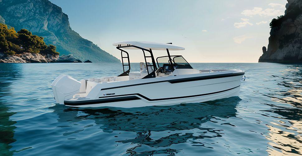 wellcraft Wellcraft 28 t-top