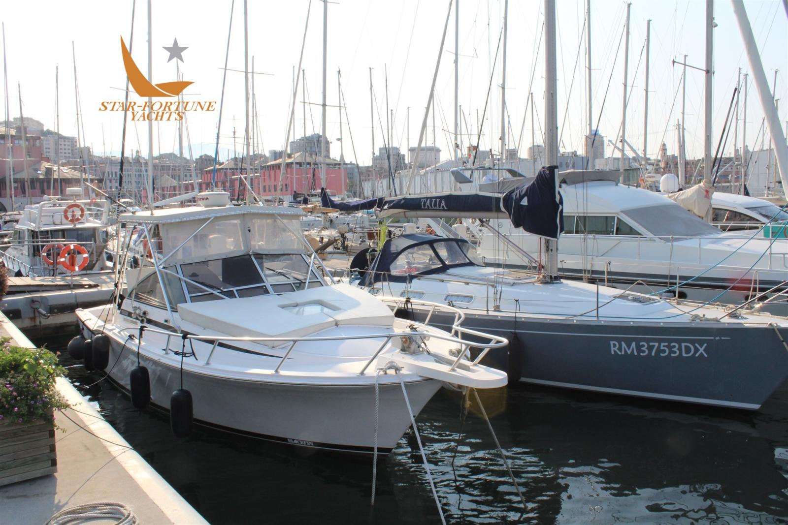 blackfin 31 combi