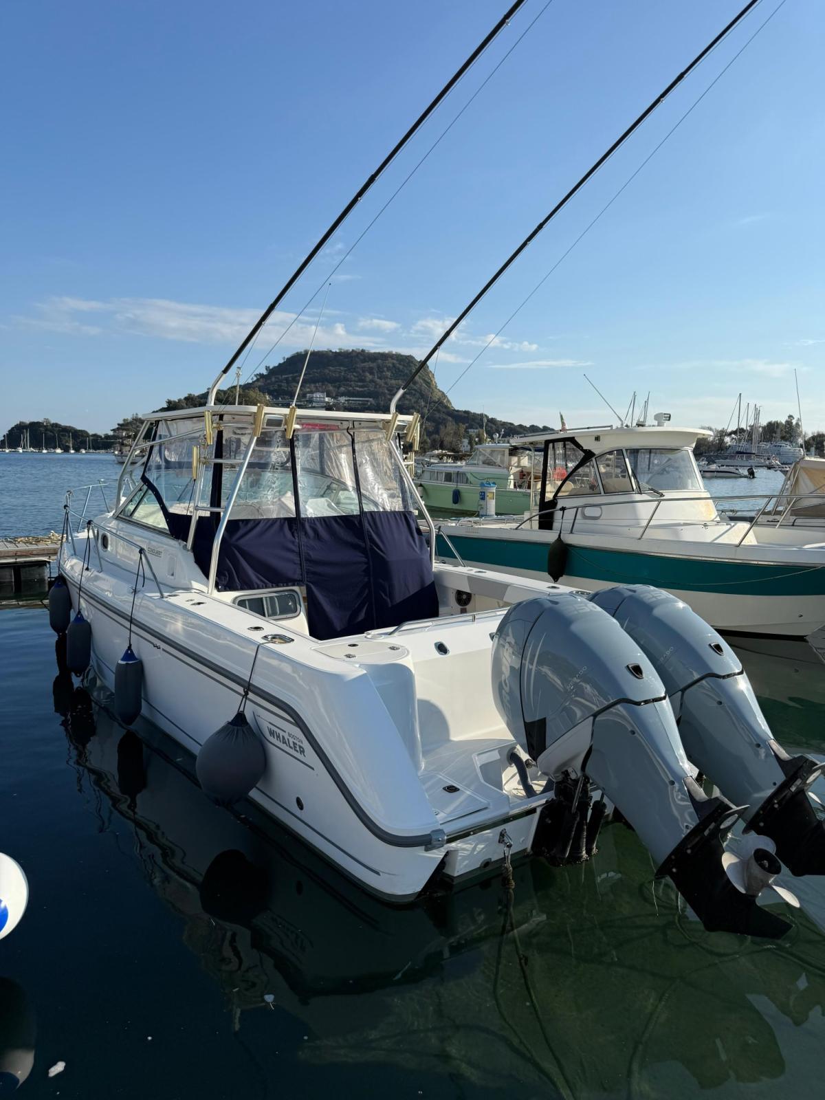boston whaler 295conquest