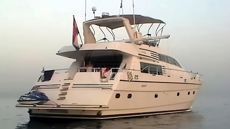 mochi craft Mochi 20 forte