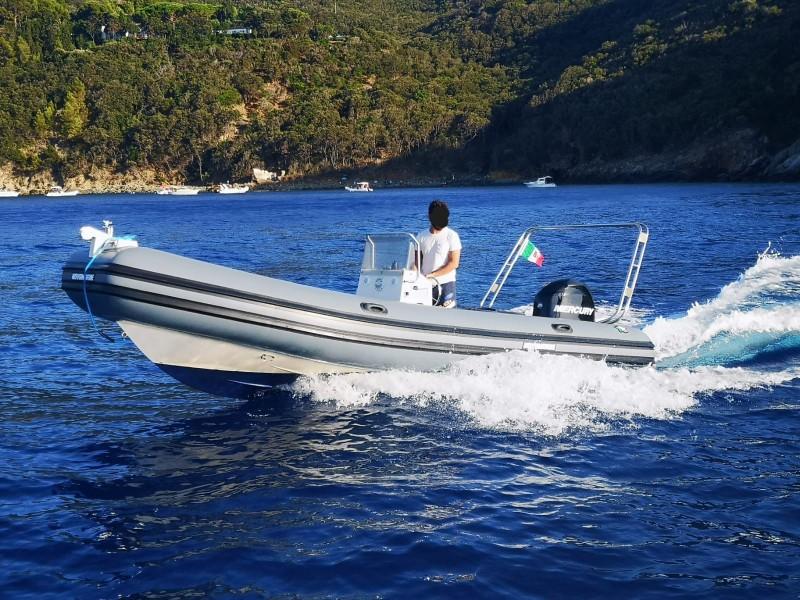 novamarine Rh 600