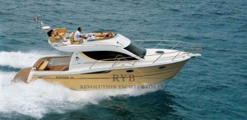 Sessa marine dorado 36