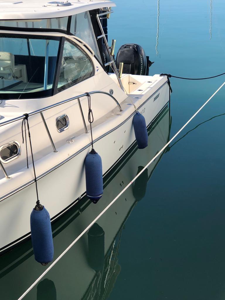 pursuit Os 335 offshore