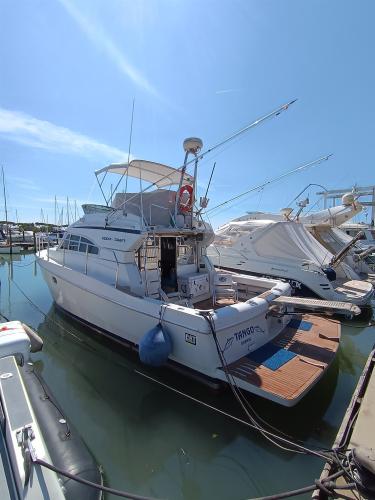 Mochi craft dominator 34 fly fish