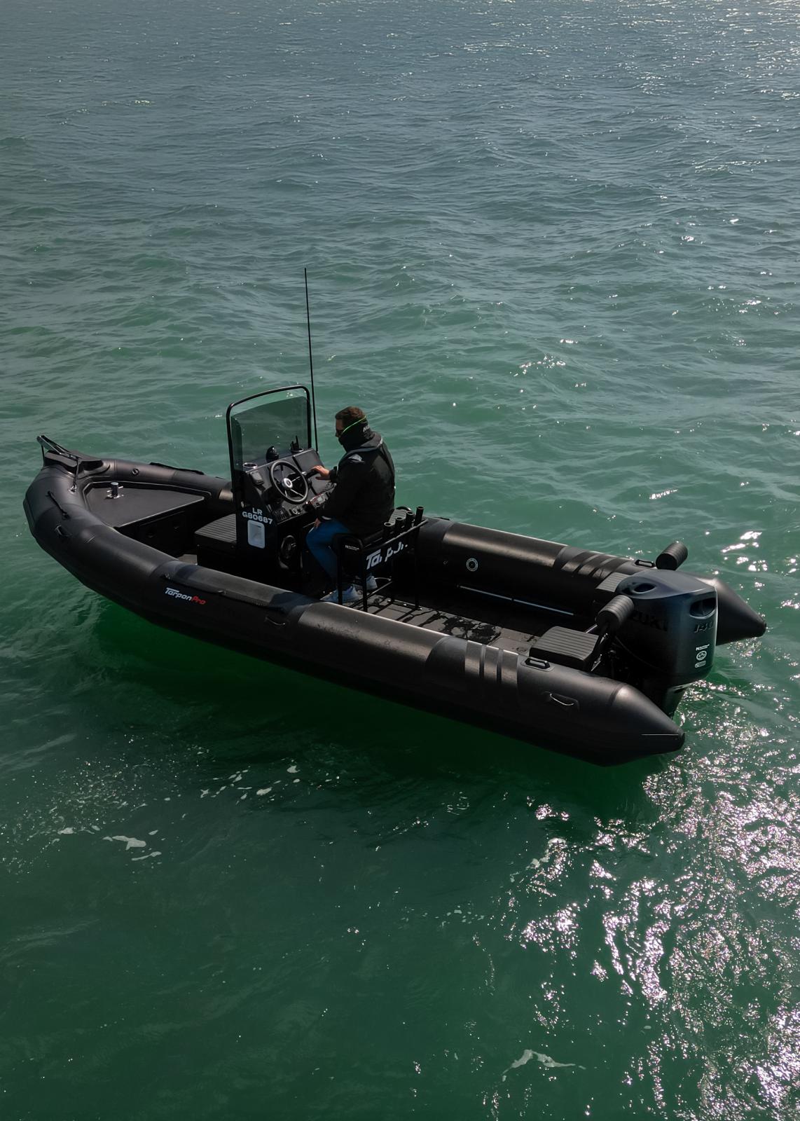 tarpon Tarpon dv65