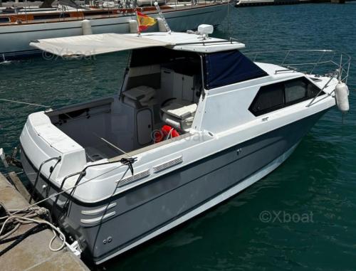 Bayliner bayliner 2452 ciera