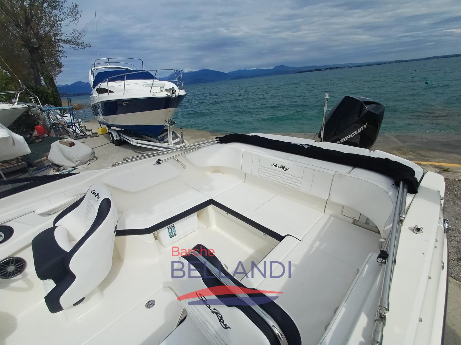 sea ray Spx 210 outboard