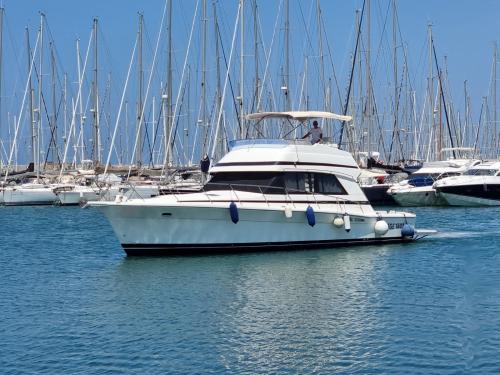 Riviera marine 43 flybridge