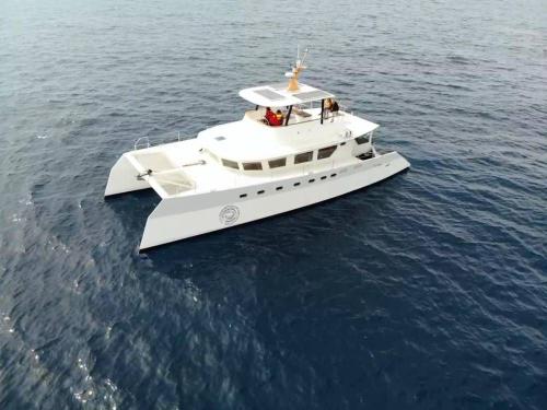 Custom catamaran sea explorer 56
