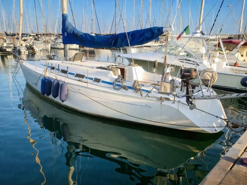 argos Duck 41