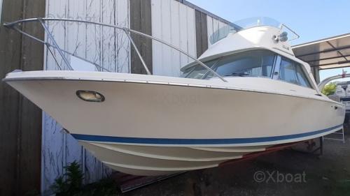 Riva riva bertram 25 sport fisherman