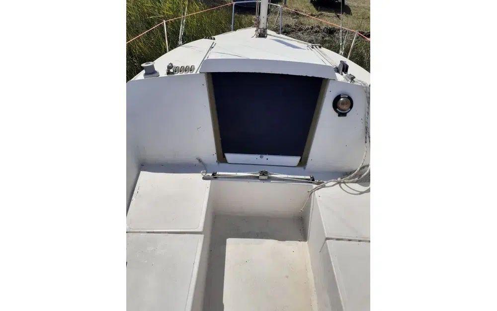 microplus Micro challenger