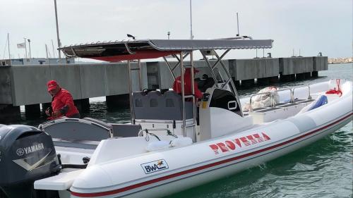 Bwa marshall 280 open pro