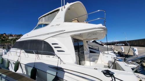 Sea ray 54