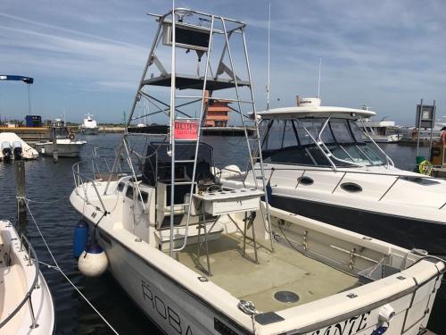 Robalo robalo 26 cavin walkaround