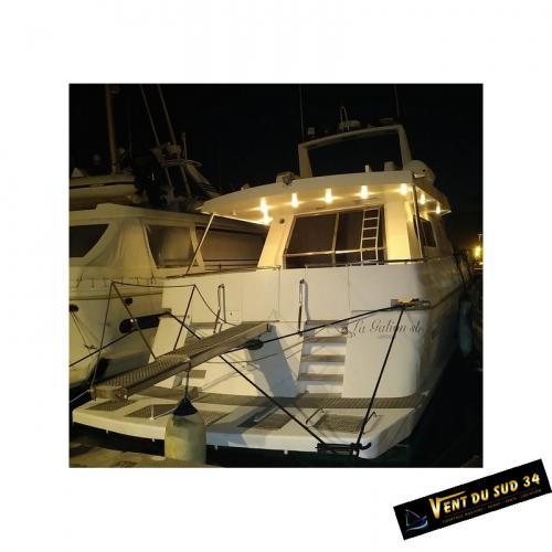 Lady hawke leopard 23