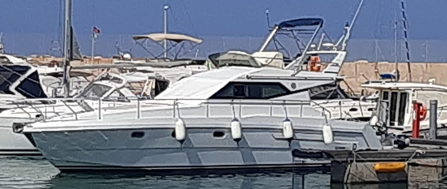 raffaelli Typhoon fly