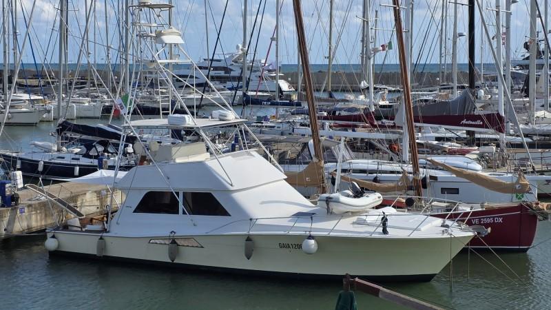 viking marin Viking 50