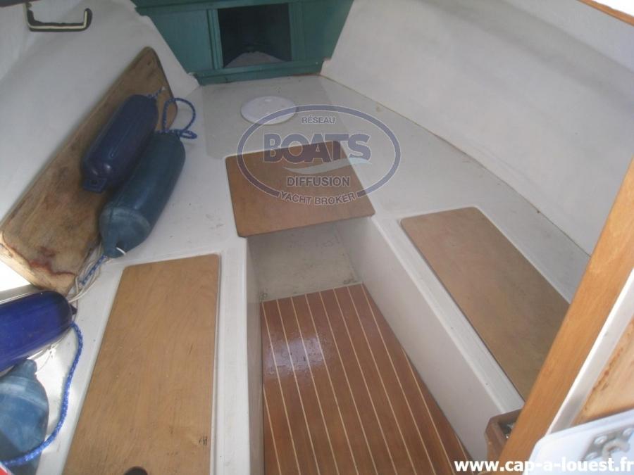 clear liner Clear liner 595