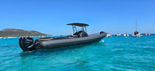 Sacs sacs stratos 12