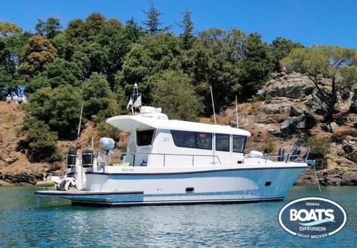 Sargo 31