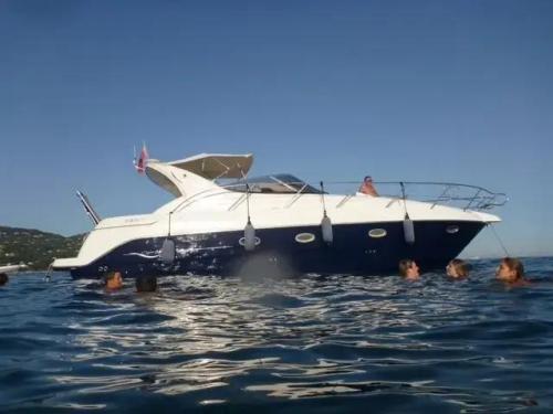 Sessa marine oyster 40