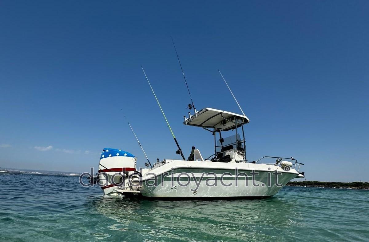 sea ray Laguna 17