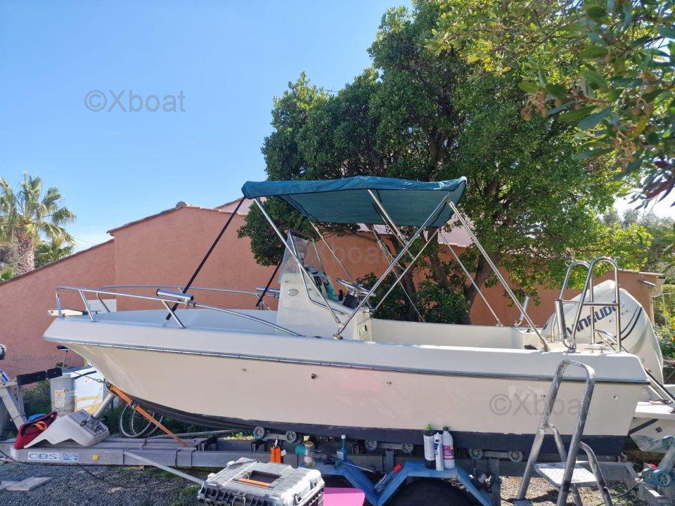 kelt White shark 175