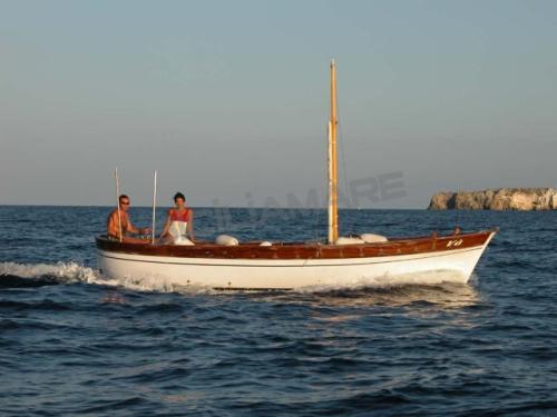 Apreamare smeraldo 7 v