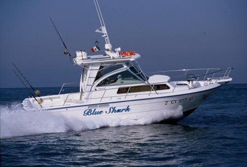 Poly form triakis c 29