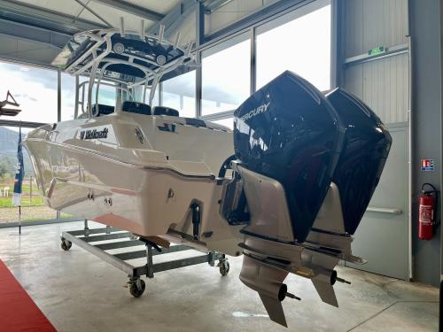 Wellcraft 262 fisherman