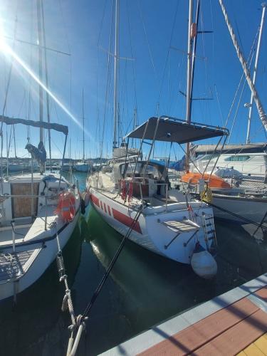 Nordcantieri panda 33