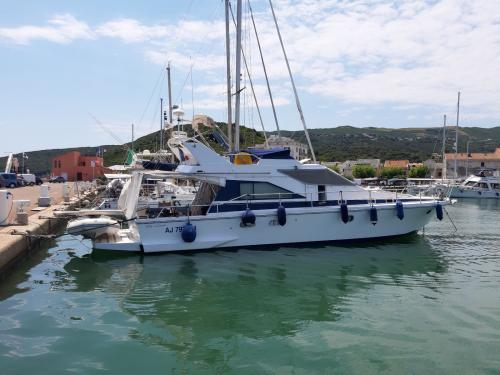 Guy couach guy couach 1401