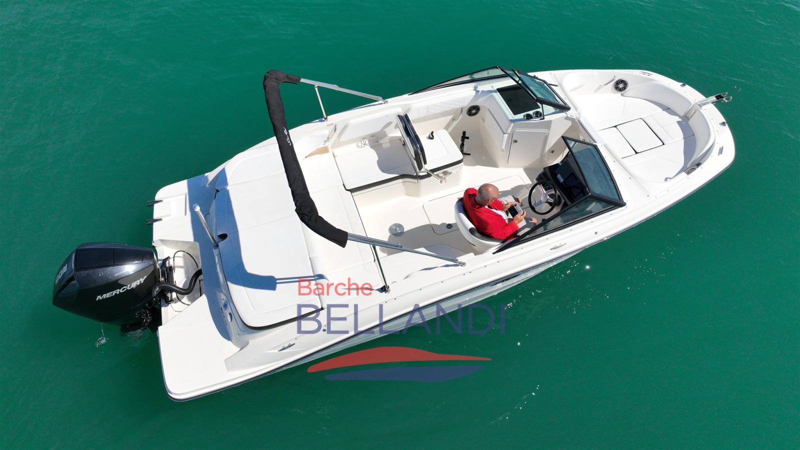 sea ray Spx 210 outboard