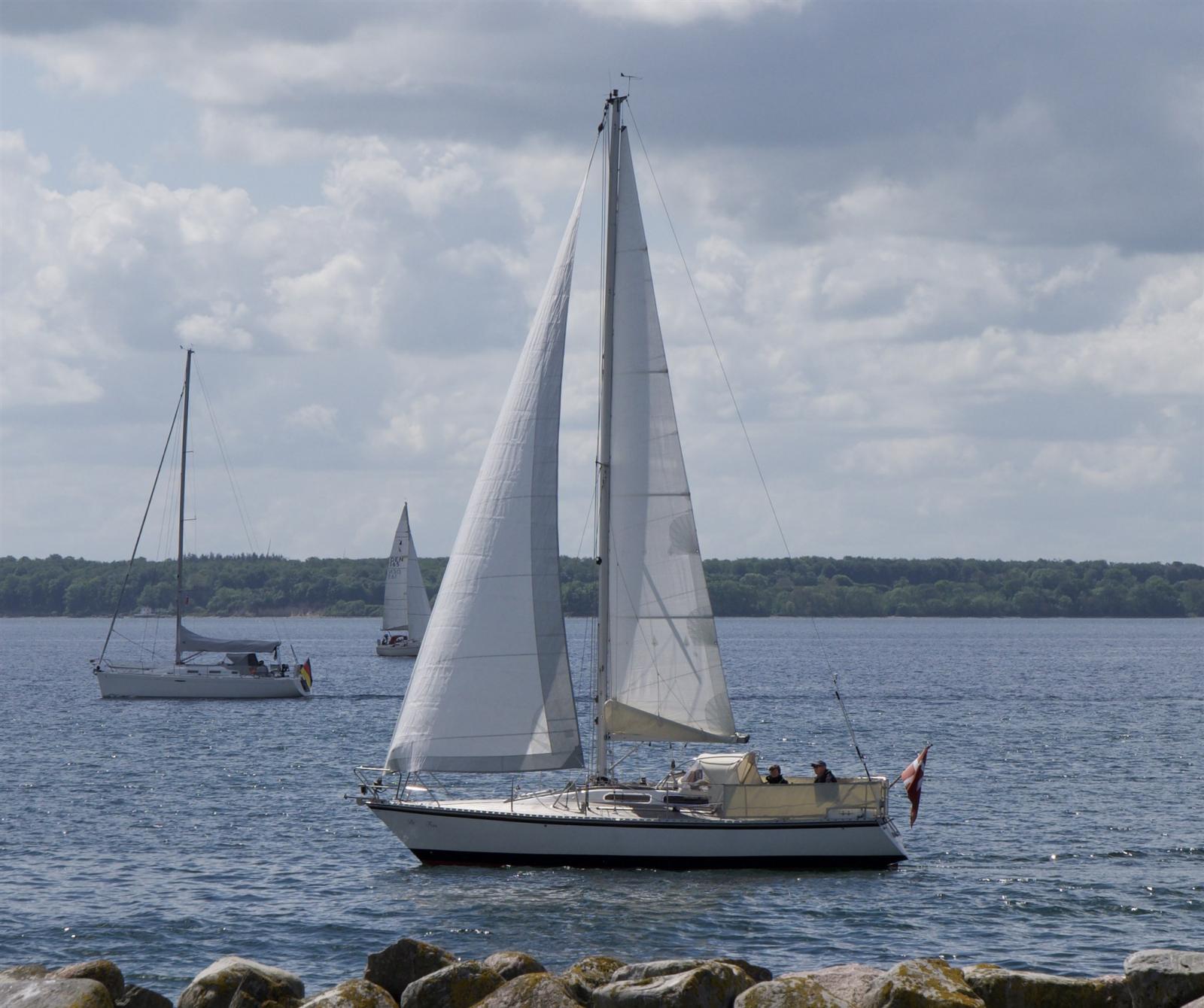 d.p. Doug peterson 31