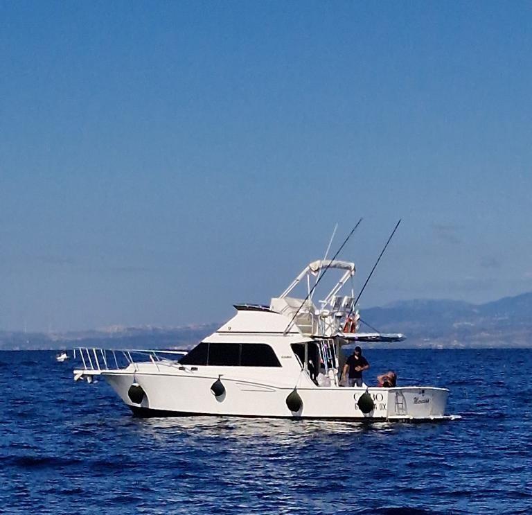 cabo 35 sportfisher