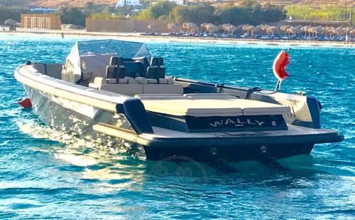 Wally yachts wally tender - pleasure craft