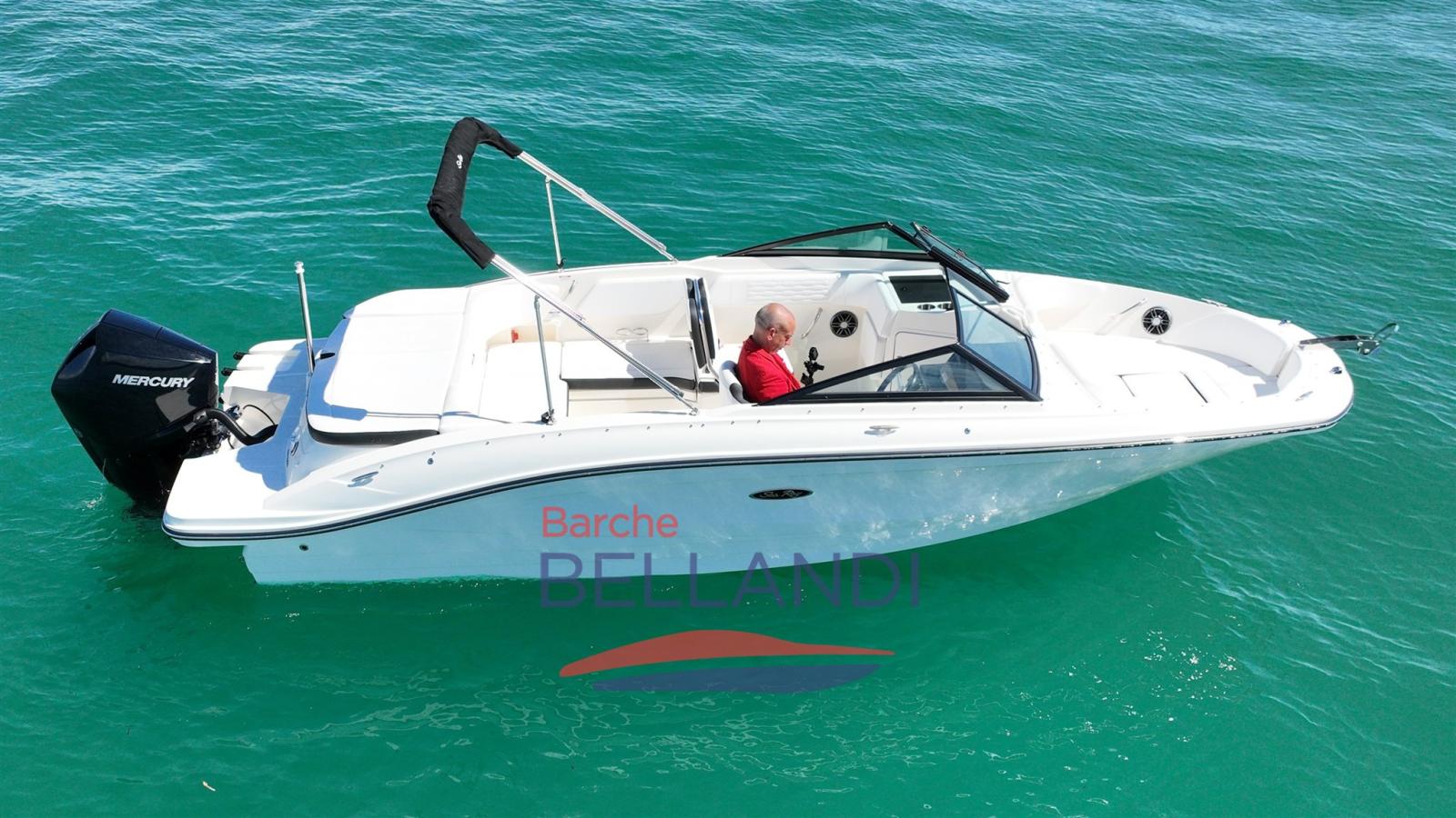 sea ray Spx 210 outboard