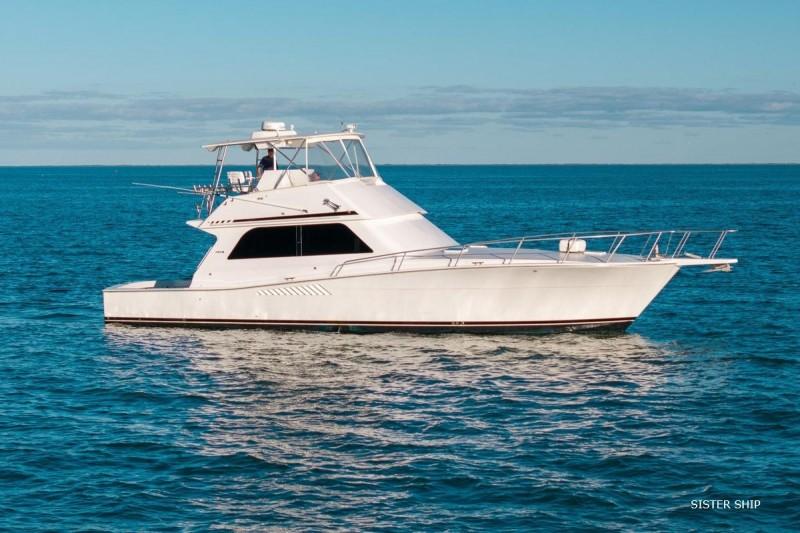viking marin Viking 50