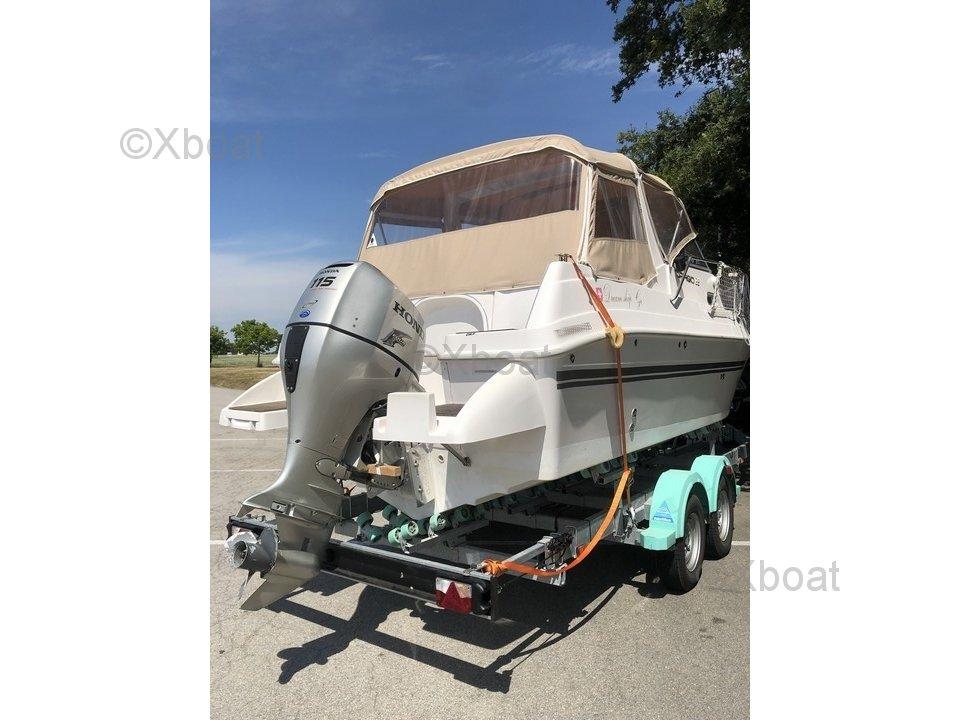 drago Drago fiesta 22